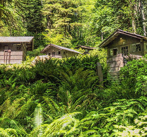 Cabins at Silver Falls Conference Center.
