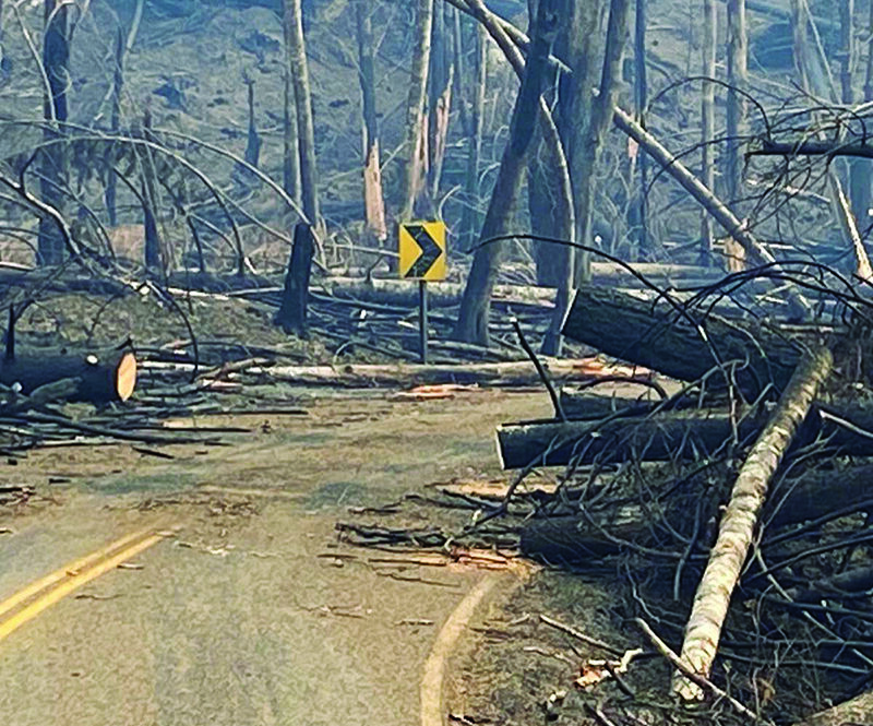 Area around North Fork in the immediate aftermath of the Beachie Creek Fire. File Photo