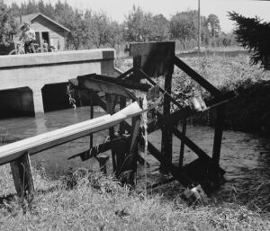 Lange’s photograph of the water wheel that was used as part of the irrigation system in place in the West Stayton bean fields in 1939. The canal ran 7.5 miles from the South Santiam River through the fields. Library of Congress, Prints & Photographs Division, FSA/OWI Collection, LC-USF34-020494-E