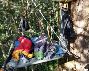 A sleeping platform attached to a tree. Submitted photos