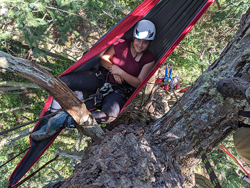 Tree Climbing at Silver Falls lets campers wake up to a new vantage point. Submitted Photo