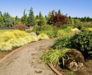 A pathway at the Oregon Garden. Chris Vardas