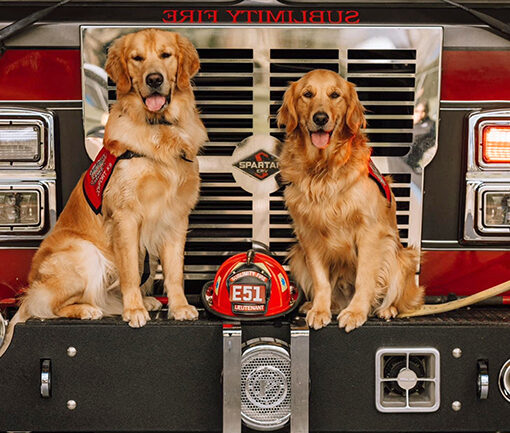 Sublimity Fire District’s comfort canines, Barney and Probie. Sublimity Fire District