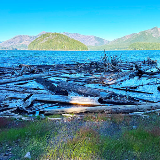 Logs and other debris are hugging the shoreline at Detroit Lake. Boaters and others using the lake as Memorial Day weekend approaches are urged to be cautious. Marion County Sheriff’s Office