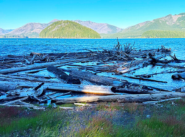 Logs and other debris are hugging the shoreline at Detroit Lake. Boaters and others using the lake as Memorial Day weekend approaches are urged to be cautious. Marion County Sheriff’s Office