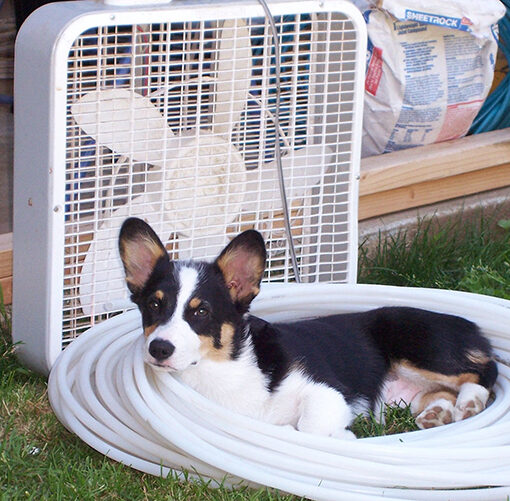 “It’s nice and cool right here.” Melissa Wagoner