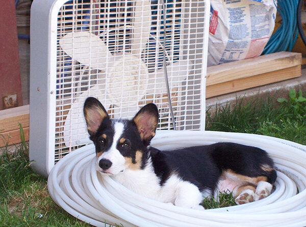 “It’s nice and cool right here.” Melissa Wagoner