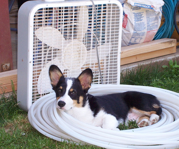 “It’s nice and cool right here.” Melissa Wagoner