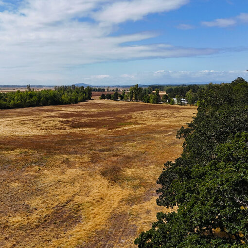 A look at property near the North Santiam River that the Willamette River Preservation Trust has purchased. Willamette River Trust