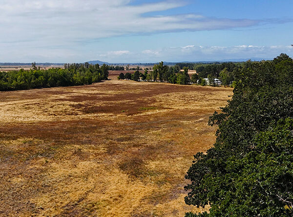 A look at property near the North Santiam River that the Willamette River Preservation Trust has purchased. Willamette River Trust