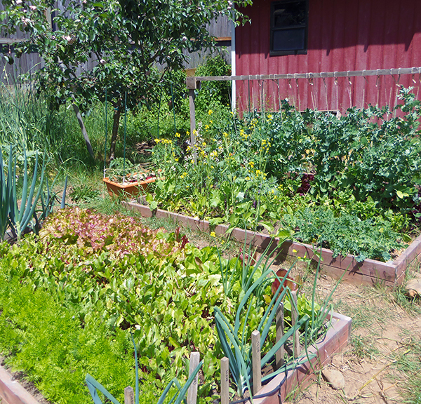 Planning out the right planting conditions for a small vegetable garden can yield the most bountiful results. Melissa Wagoner