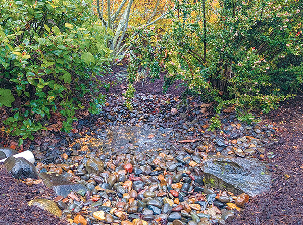 Landscape architect Laura Antonson's front yard rain garden -- courtesy of Laura Antonson