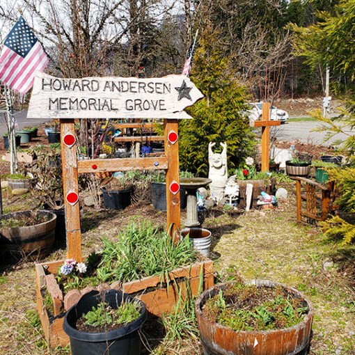 The Howard Andersen Memorial Grove in Detroit. James Day