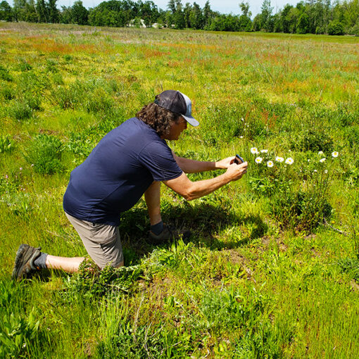 Travis Williams of the Willamette River Preservation Trust gets up close and personal while photographing wildflowers. James Day