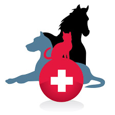 Stayton Veterinary Hospital