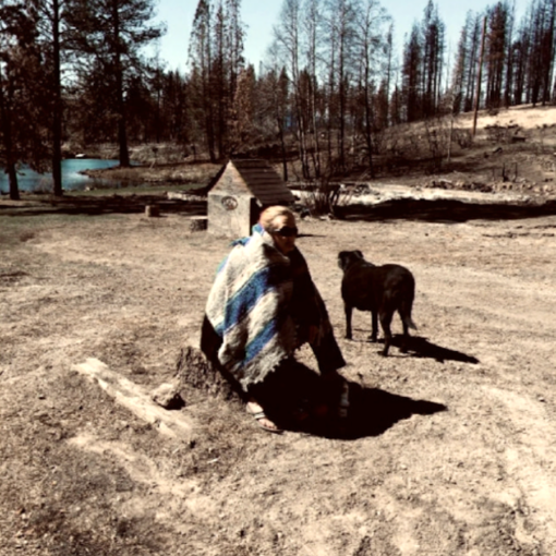 Terri Runft, of Chiloquin, sits on a stump in the empty lot that used to be her home before it was destroyed by the 242 Fire in 2020.